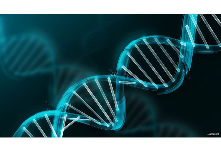 Marketing en Salud: Estn seguros nuestros datos de ADN?